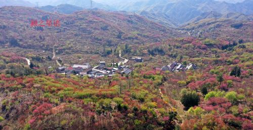 宁波这条古道太美啦，春秋冬都来走过了