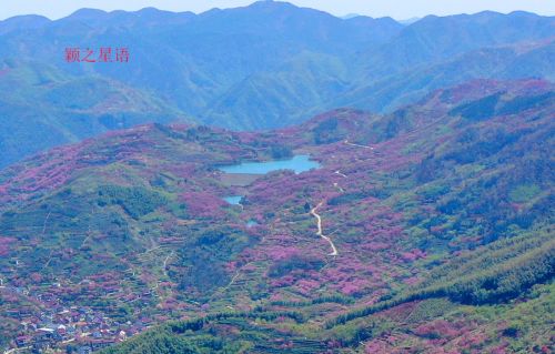 天池樱花谷，一心倾心，再次来相见