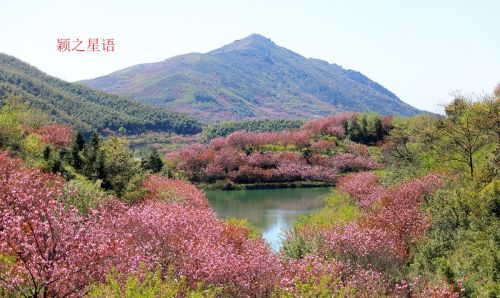 天池樱花谷，一心倾心，再次来相见