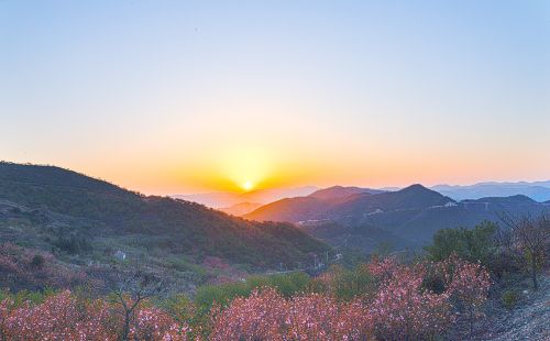 夜宿石浪人家，繁樱如梦，人少而景美