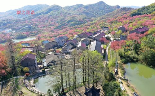 夜宿石浪人家，繁樱如梦，人少而景美