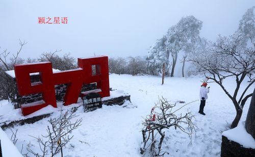 品种最多的樱花园和杜鹃坡，不一样的赏花体验