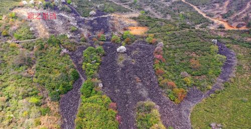 冰川石浪，中国野樱花，国内唯一的洪荒之美