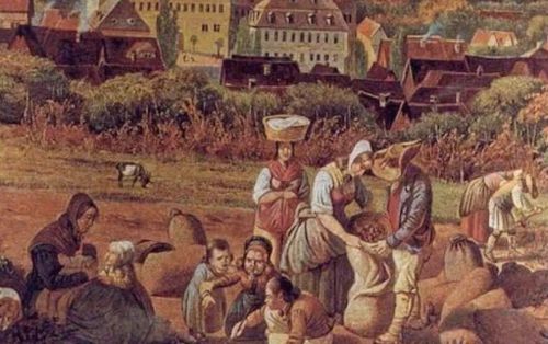 中世纪晚期，农村雇工为什么能够不断发展壮大？