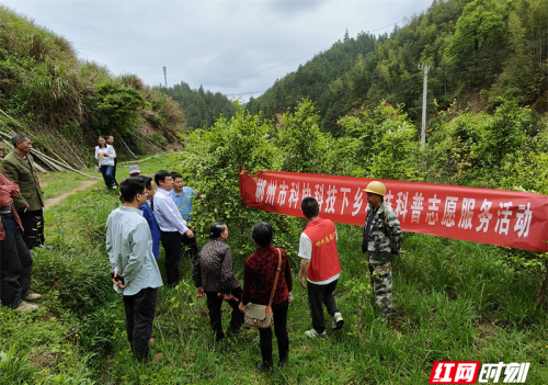 郴州市科协送科技下乡 助力盆洞村油茶高产丰产