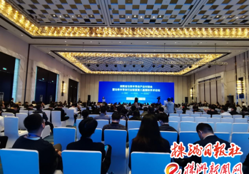 湖南省功率半导体产业对接会在株洲举行