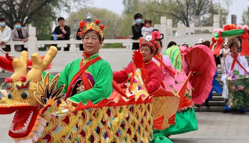 山东有座城，因运河而生，因扒鸡而出名！你去过吗