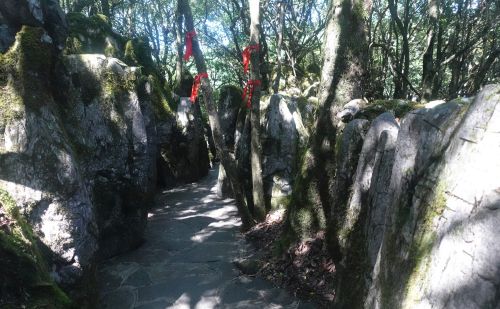 夏天重庆去哪里避暑？距主城100公里的这个地方，清凉又刺激