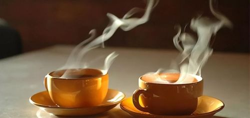 上了年纪的人，反而不能喝茶养生？提醒：这3种茶真的别喝了