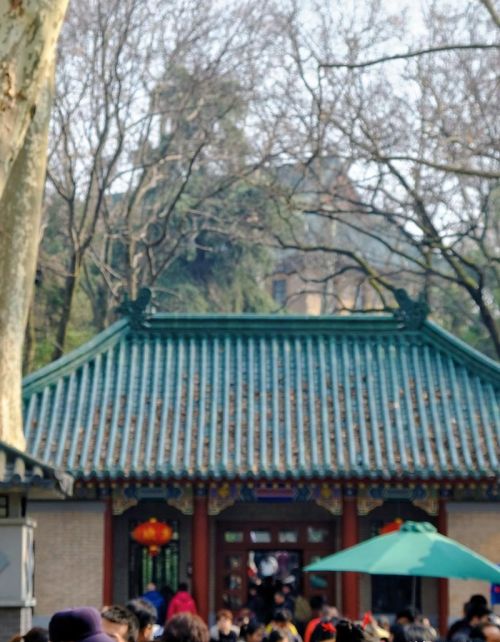 2023旅行目的地推荐 | 南京，中山陵，景区里的好吃的