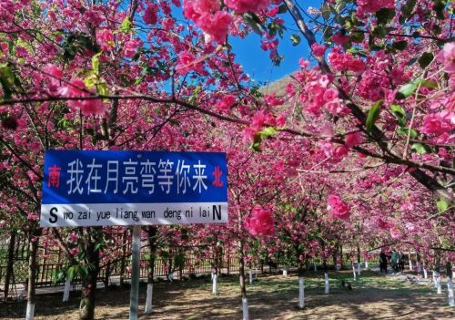 春日休闲出游，峨山这个宝藏地方一定不能少！