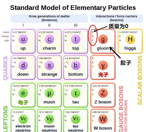 为什么自身质量为0的胶子，却给了质子和中子99%的质量？