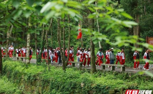 张家界国家森林公园旅游持续升温 分级管理秩序井然