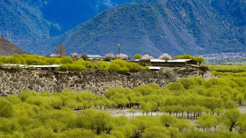 （环境）西藏雅尼国家湿地公园春光美