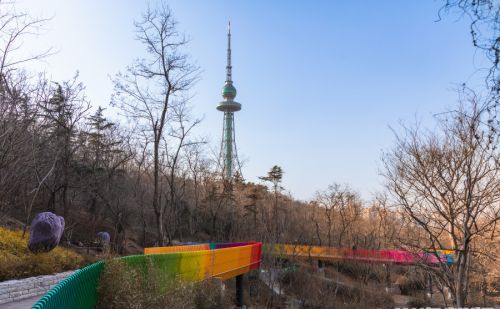 半岛聚焦丨美景快来打卡！青岛两大公园今天正式开放，市民五一春游有了好去处（附高清多图）