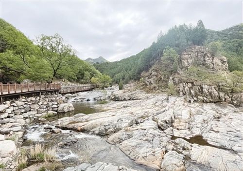 泰山景区：支招献策 让游客沉浸式游泰山