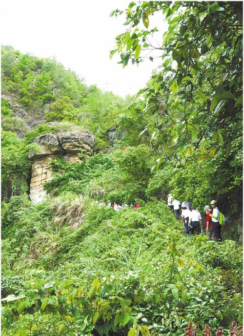 深山藏古道 活化向新生