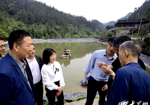 东营市海洋发展研究院院长王进河带队指导桃花源高山大闸蟹产业发展