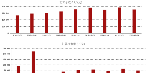 年报观察丨上海家化营利双降，年内下调业绩目标仍未达成