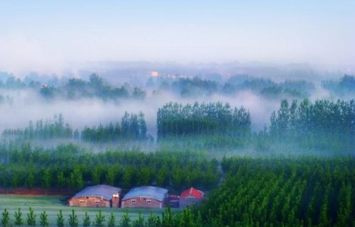 山东莒南楼市的危机，高性价比的莒南县楼市房价，莒南楼市的潜力