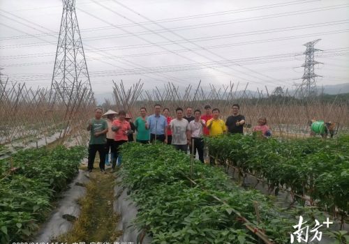 苗好七成收，省农科院专家工作站助力惠州蔬菜育苗