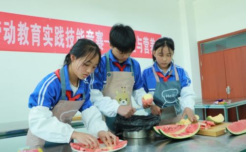 紫云自治县举行2023年中小学劳动教育实践技能竞赛