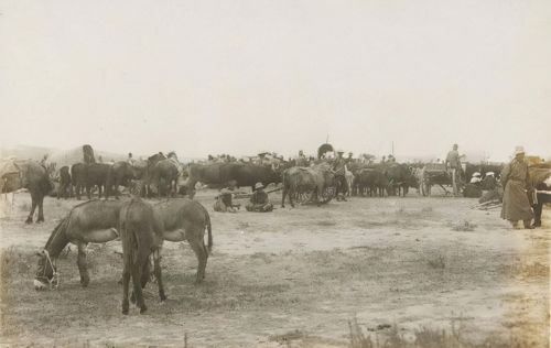 1935年赤峰老照片 80年前的巴林右旗大板镇风貌
