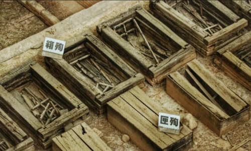 陕西村民发现超级大墓，专家急忙赶往挖掘，可惜10亿宝物已被盗光