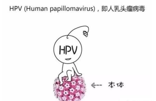 女性对于HPV病毒检查，多少岁就要坚持做了？