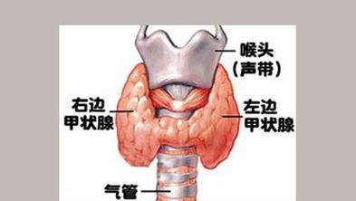 甲亢对生活有什么影响吗？