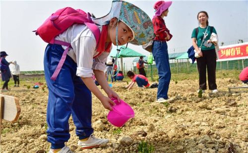 五一假期广州市民安排孩子去犇牛牧场参加劳动学习农耕