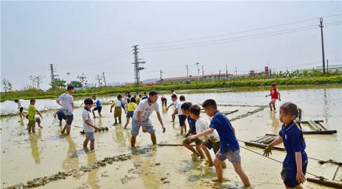 五一假期广州市民安排孩子去犇牛牧场参加劳动学习农耕