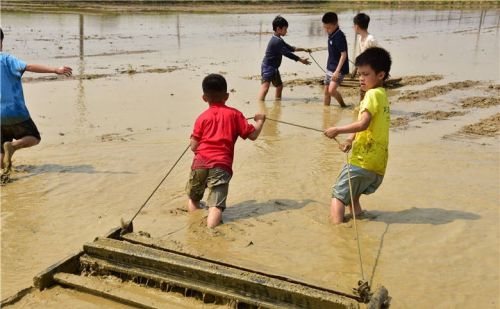 五一假期广州市民安排孩子去犇牛牧场参加劳动学习农耕