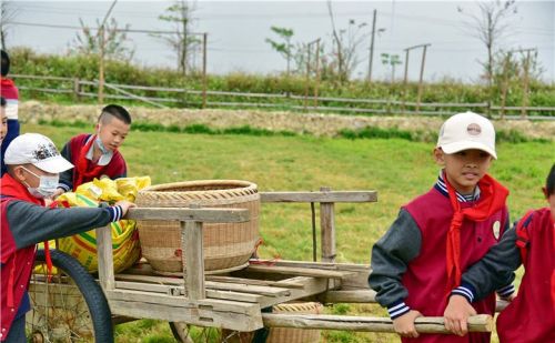 五一假期广州市民安排孩子去犇牛牧场参加劳动学习农耕