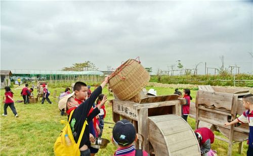 五一假期广州市民安排孩子去犇牛牧场参加劳动学习农耕