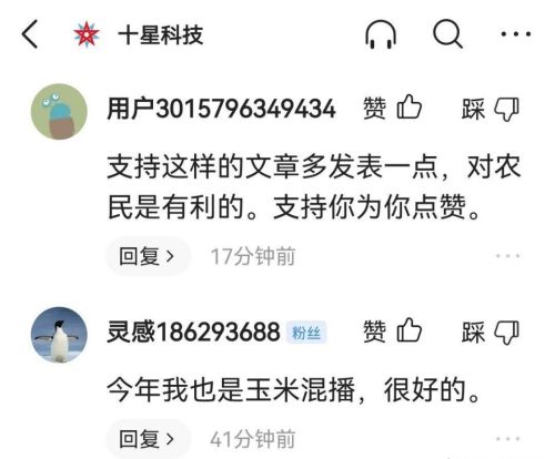 打算种三十亩玉米，什么种子高产？