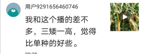 打算种三十亩玉米，什么种子高产？