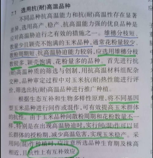 打算种三十亩玉米，什么种子高产？