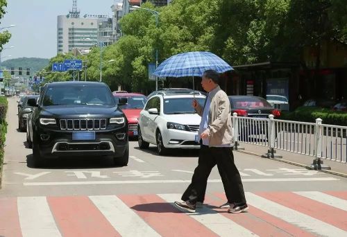 “礼让行人”怎么成了交通拥堵的祸根？斑马线上安个计时器试试