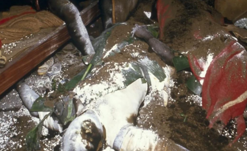 1986年，非洲1700村民一夜集体身亡，抽出湖水后真凶浮出水面