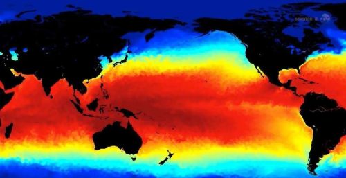 拉尼娜现象后，厄尔尼诺重新回归，史上最热夏天，比去年还要热