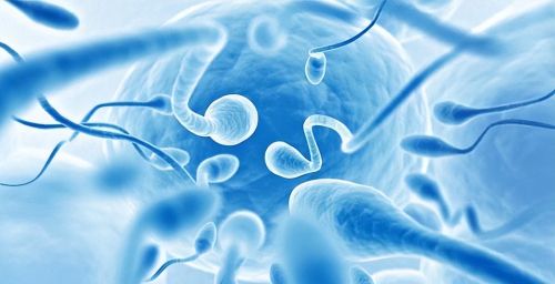 精子是如何变成婴儿的？人类诞生的全过程，有多神奇和伟大？