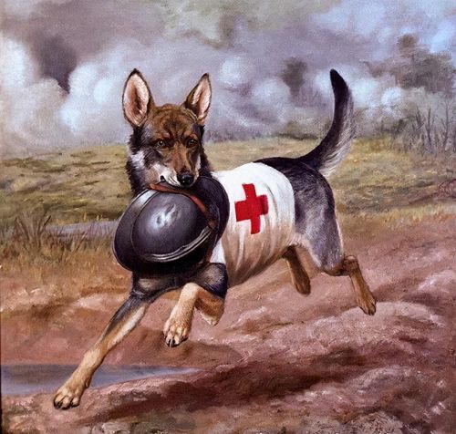 Great War | 一条狗的使命