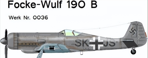“长鼻子多拉”——Fw 190D系列战斗机的故事（上）