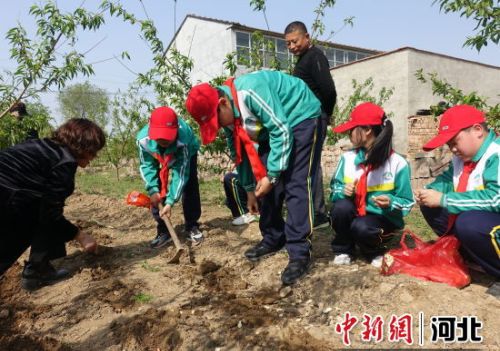 沧州泊头开展“体会耕耘”研学活动