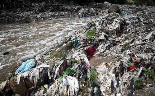 中国发现“塑料岩石”它们长一起了！上次引发塑料危机的还是木头