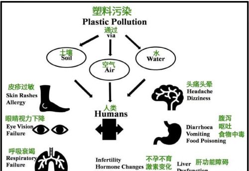 塑料变肥料！科学家成功将塑料垃圾变为土壤添加剂！真的没毒吗？