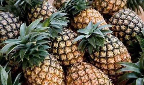菲律宾菠萝，一年卖给中国20万吨，几乎垄断我国进口菠萝市场