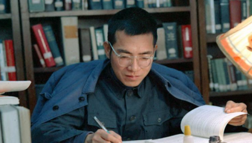 著名数学家陈景润，47岁娶29岁女军医，唯一的儿子现在发展怎样？