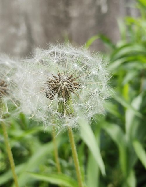 理学心学科学 天地内外阴阳 本无一物心外无理 与科学实证